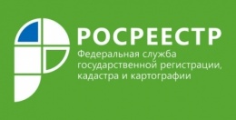 Управлением Росреестра по Свердловской области организована еженедельная "горячая линия"